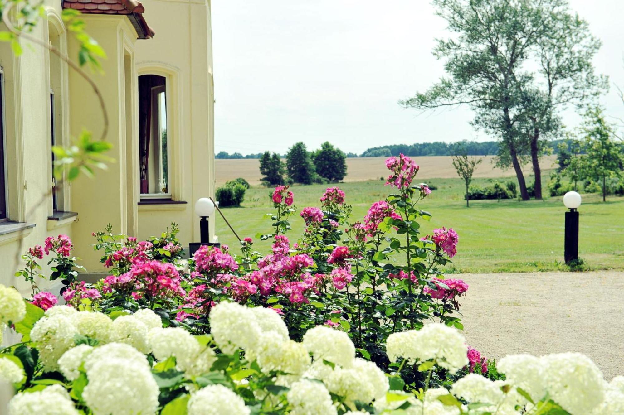 Gutshaus Penzlin Villa Meyenburg  Bagian luar foto